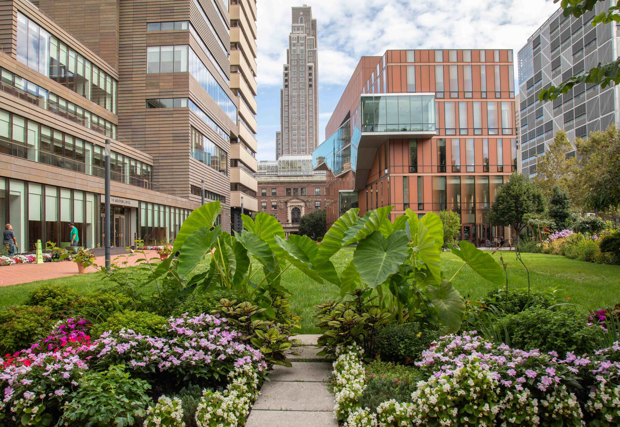 the view of campus from the south side of futter field. There are various flowers centered by an elephant ear plant